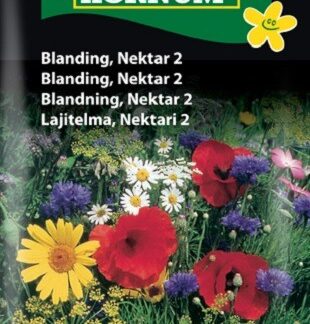 Blomsterblanding, Nektar 2.