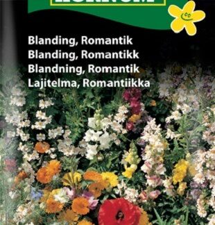 Blomsterblanding "Romantik"