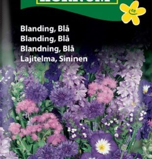 Blå/lilla blomsterblanding