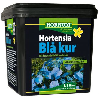 Hornum Hortensia blå kur