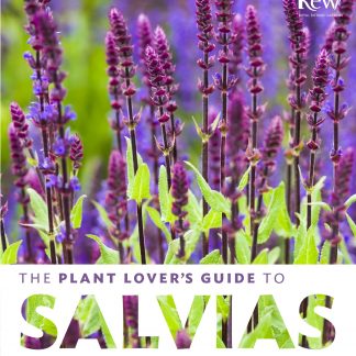 The plant lovers guide to Salvias