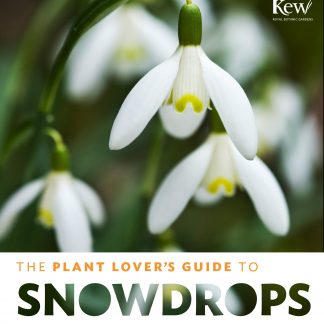 The plant lovers guide to Snowdrops
