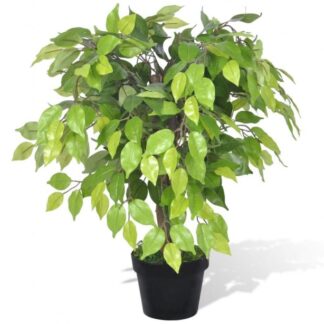 Kunstig Dværg Ficus med potte 60 cm - Grøn