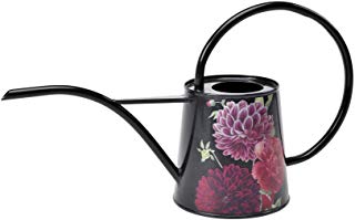 Smuk indendørs vandkande. 1 liter. British Bloom