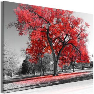 Billede - Autumn in the Park (1 Part) Wide Red - rød / 120x80