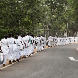 The walk Sri Lanka af Frames