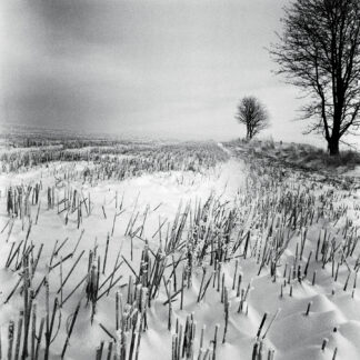 Vinter af Ida Schmidt